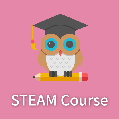 STEAM Course